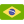 Brazilian Portuguese