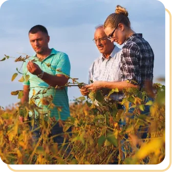 Empresas de Consultoria Agronômica